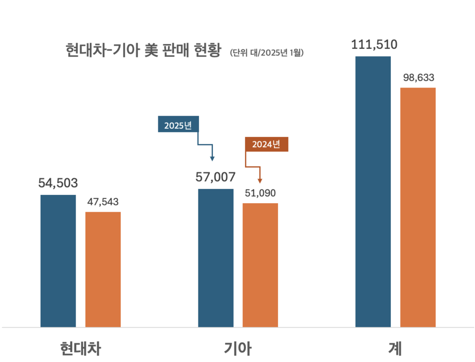 오토헤럴드 DB